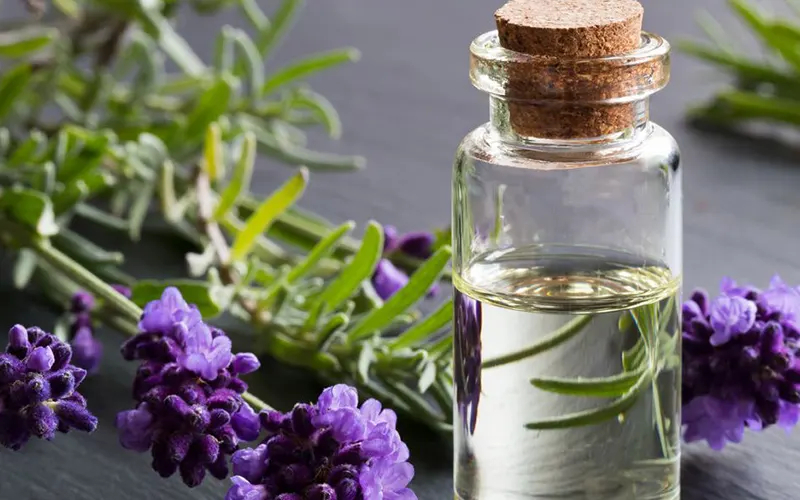 Lavender Oil Image