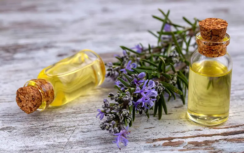 Rosemary Oil Image