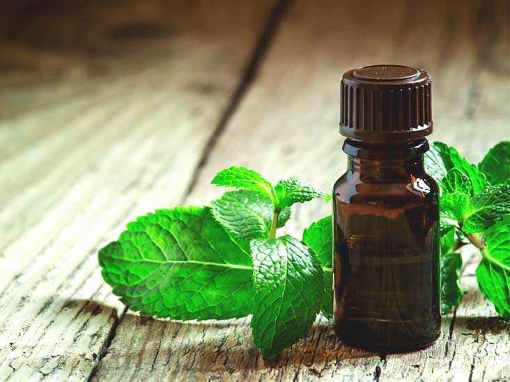 Spearmint Oil Image